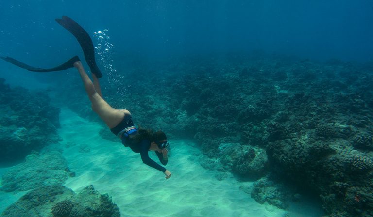 Lire la suite à propos de l’article Discover the Wonders of OceanWP&rsquo;s Scuba Demo for Your Diving Website