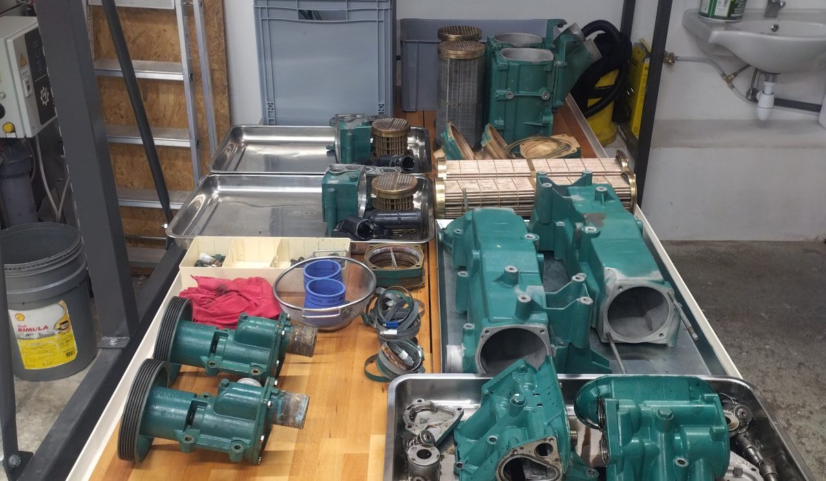 IMG_20231207_173859052