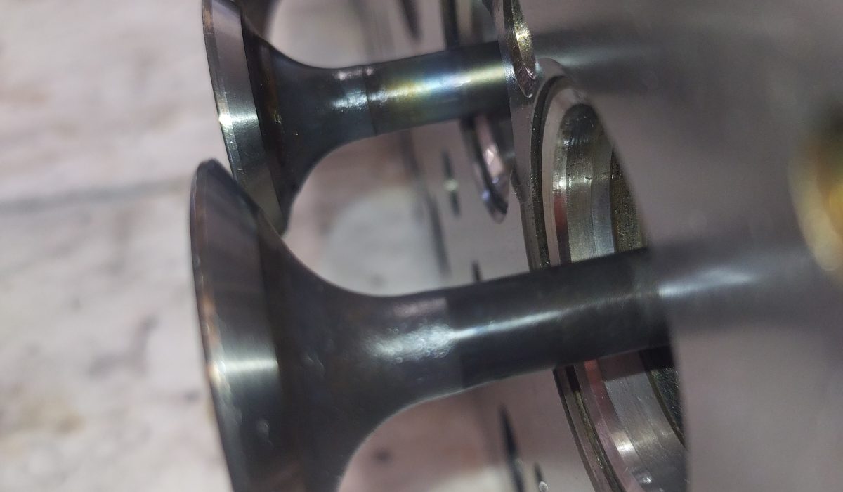 IMG_20240322_135159589